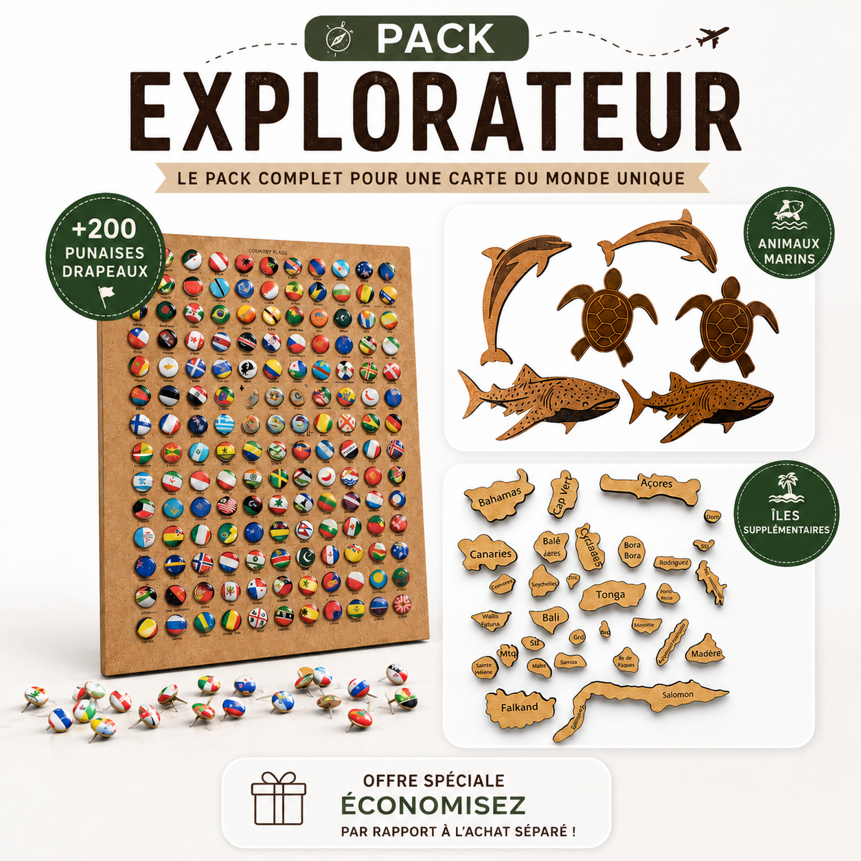 Kit Explorateur – Îles, Punaises & Animaux Marins