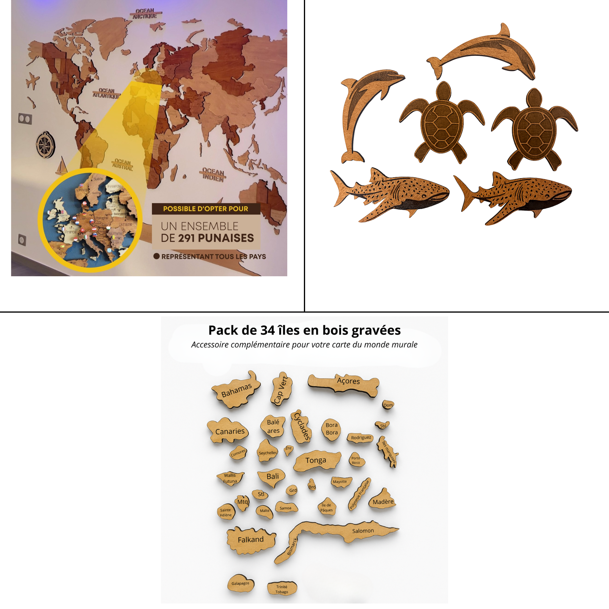 Pack Découverte - Îles + Punaises + Animaux Marins