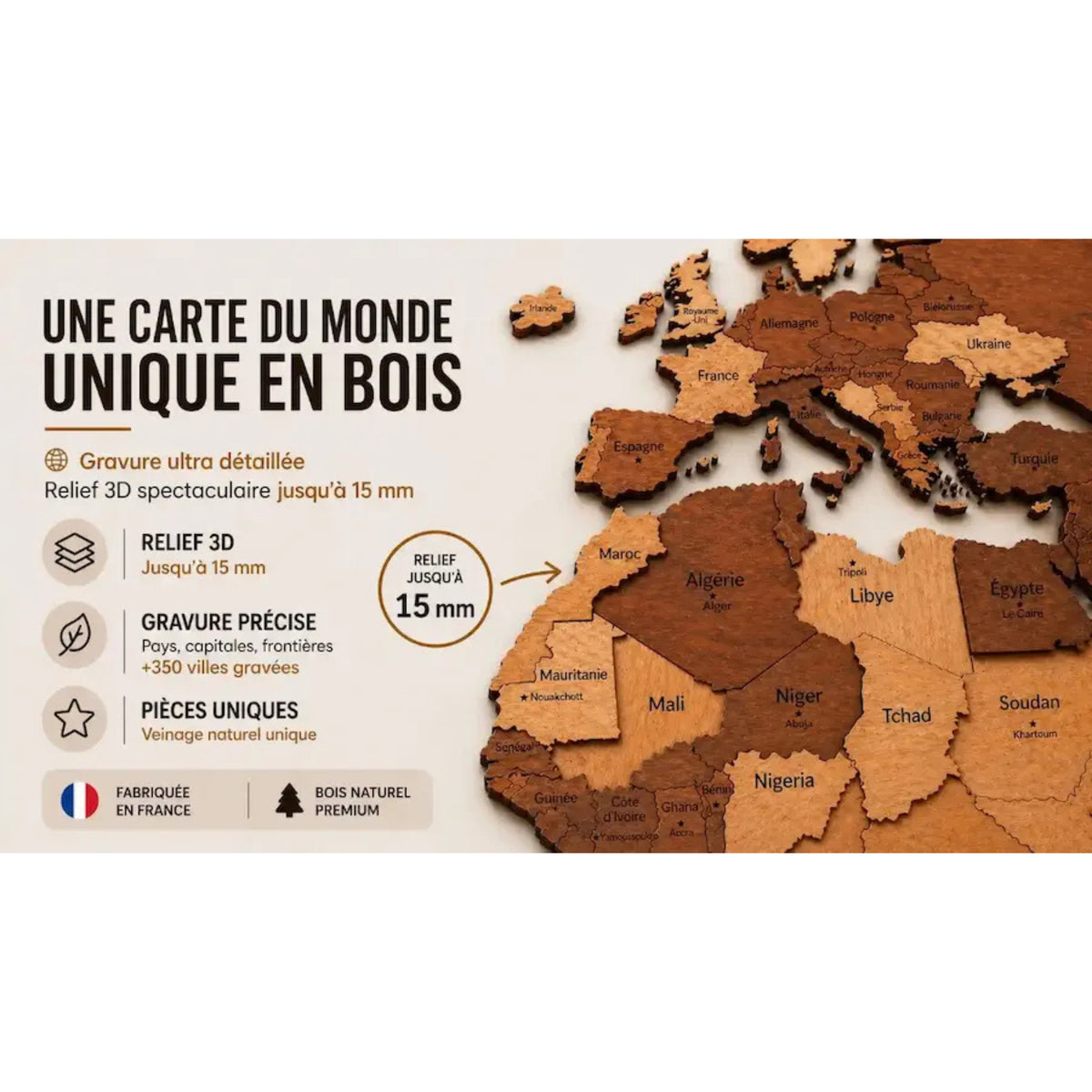Carte du monde en bois murale