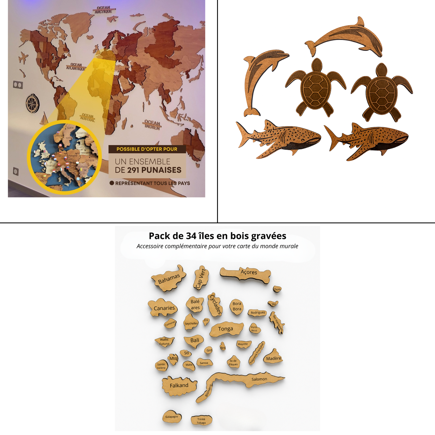 Kit Explorateur – Îles, Punaises & Animaux Marins -  Wood Work