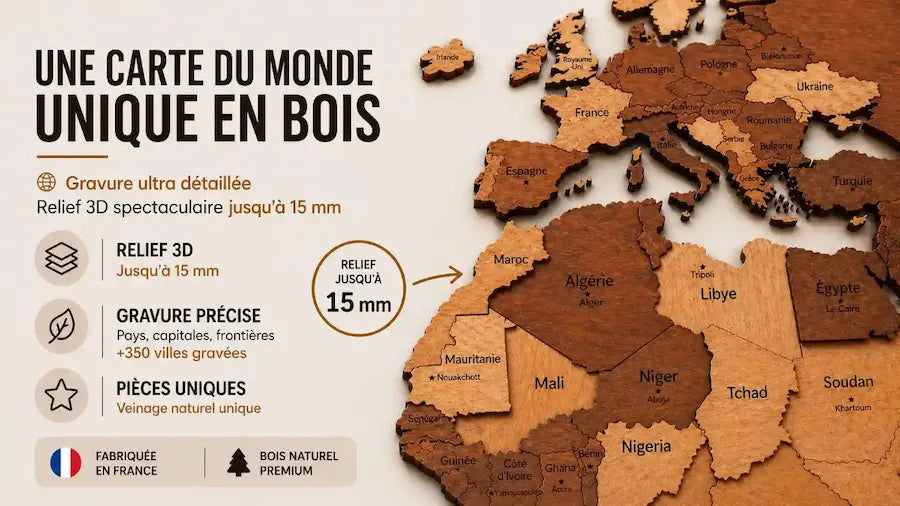 Relief d'une carte du monde murale 3D en bois