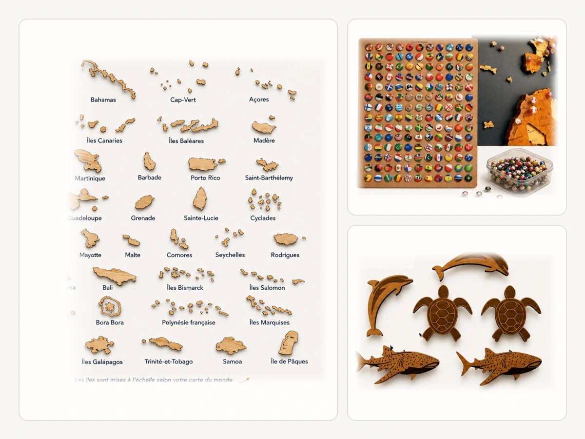 Pack Explorateur Wood Work 08 : îles, punaises drapeaux et animaux marins